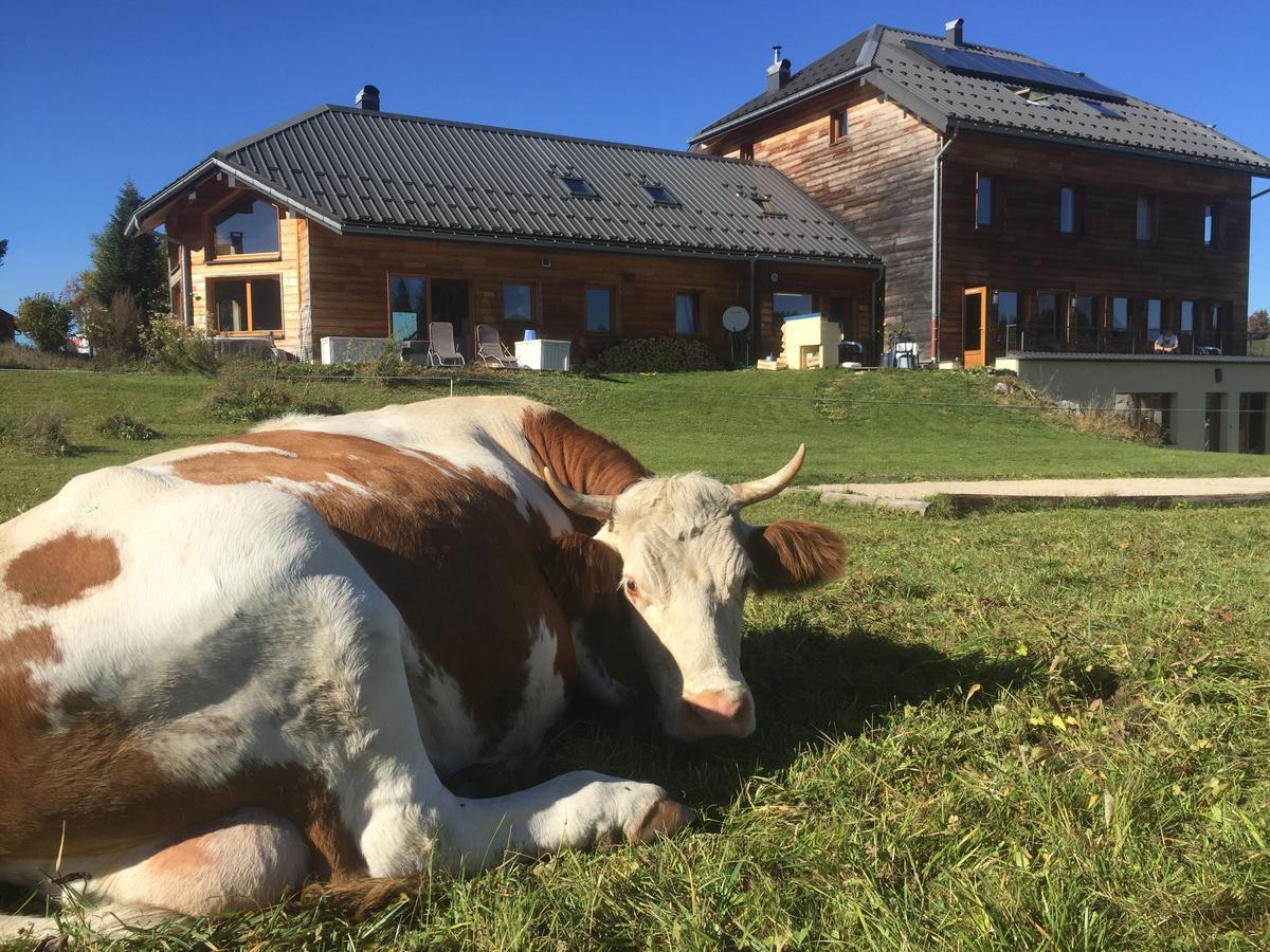 La Maison Des Inuits Septmoncel-Les-Molunes Bagian luar foto
